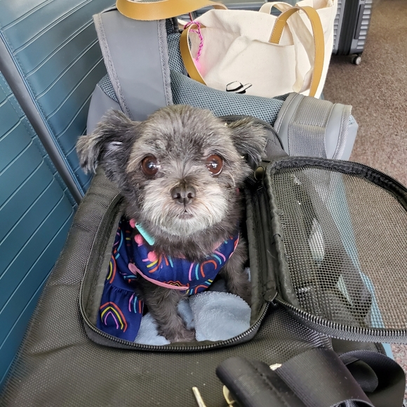 ⚜ Meet ⚜ your Posher, Bren ⚜ Posh Ambassador ⚜ - Picture 3 of 16